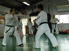 imido (105)_samu.gif